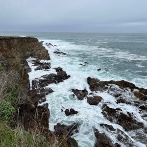 Meet your Posher, Ki